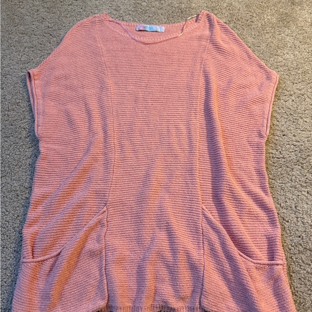 Free People Pink Knit Top